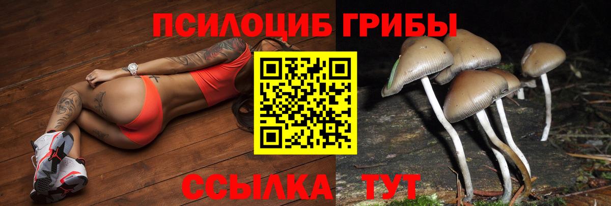 Галлюциногенные грибы мухоморы  Вход с VPN  Галлюциногенные грибы GOLDEN TEACHER  Амурск 