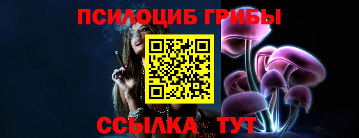 Псилоцибиновые грибы ЛСД Амурск